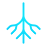 DeepRoot Logo